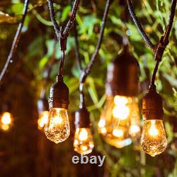 20M Electric Festoon String Lights Christmas Outdoor Indoor Patio Decor Lighting