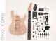 DIY Electric Guitar Kit 6 String Build Your Own Guitar