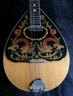 Electric Bouzouki Greek Rare Aetna Vintage with new lockable hard shell ABS case