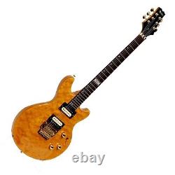 Electric Guitar Shine SIL602AN Double Cut Away LP Style Set Neck Floyd Rose y-36