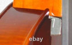 Eminence Acoustic Electric Upright Bass REMOVEABLE NECK Travel Bass IN STOCK NOW
