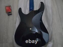 Esp ltd guitar
