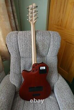 Godin 8 String Full Size Guitar With Brand New Neck Built By Colin Keefe