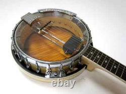 Gold Tone 6-string Electric Banjo Guitar Resonator Banjitar