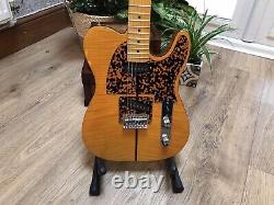 New Electric Guitar With New Tweed Hard Case