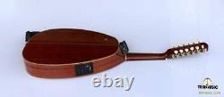Professional Arabic Electric Oud Ud String Instrument Oude EA5