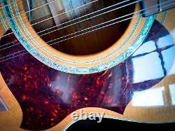 RARE Takamine 12 String Accoustic Electric Guitar Model'G' / EG 523SC-12